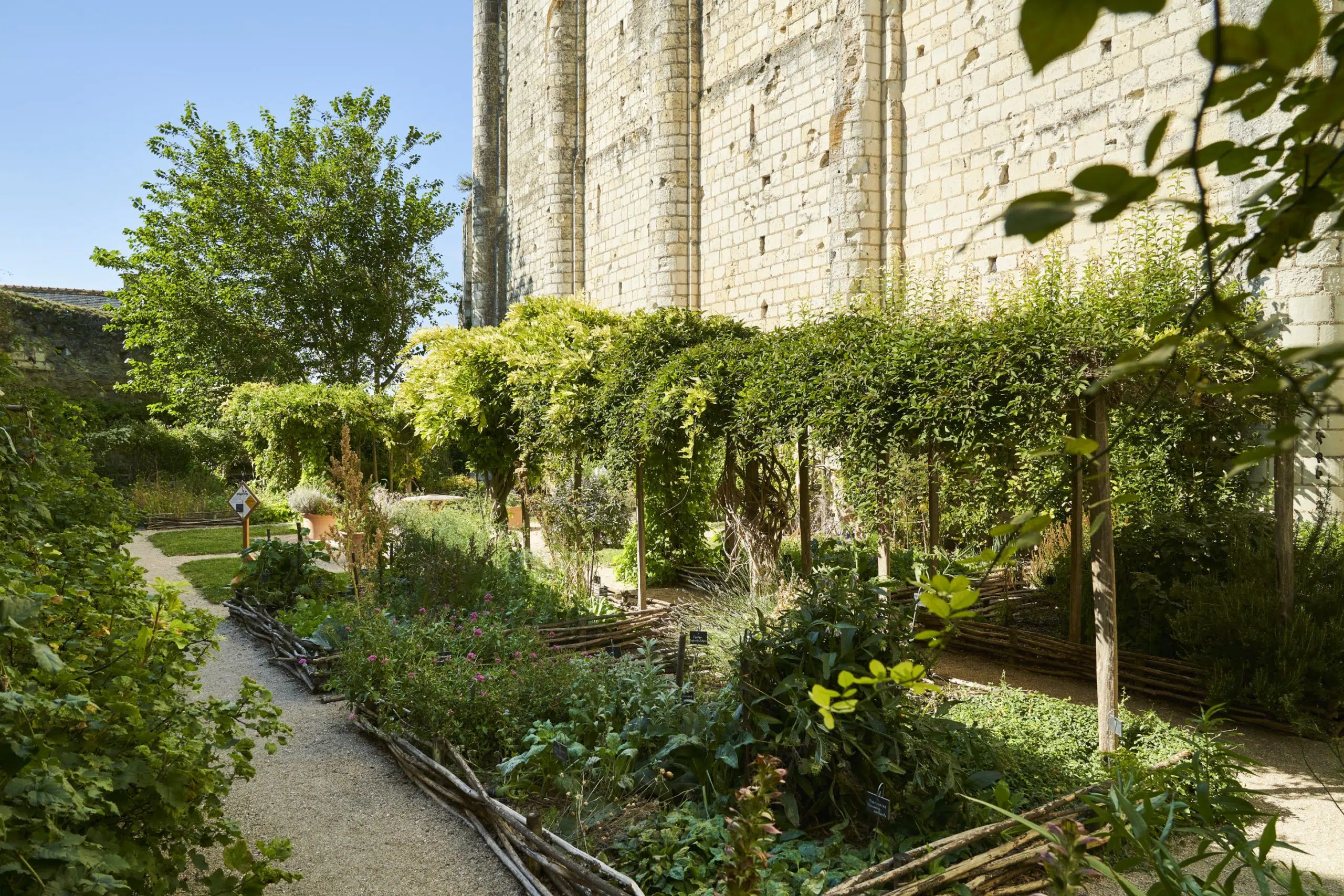 Jardin médiéval au pied du donjon de Loches